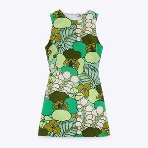 Zara Printed Dress